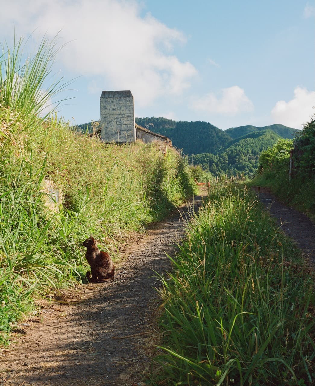 Azores — 3 of 4