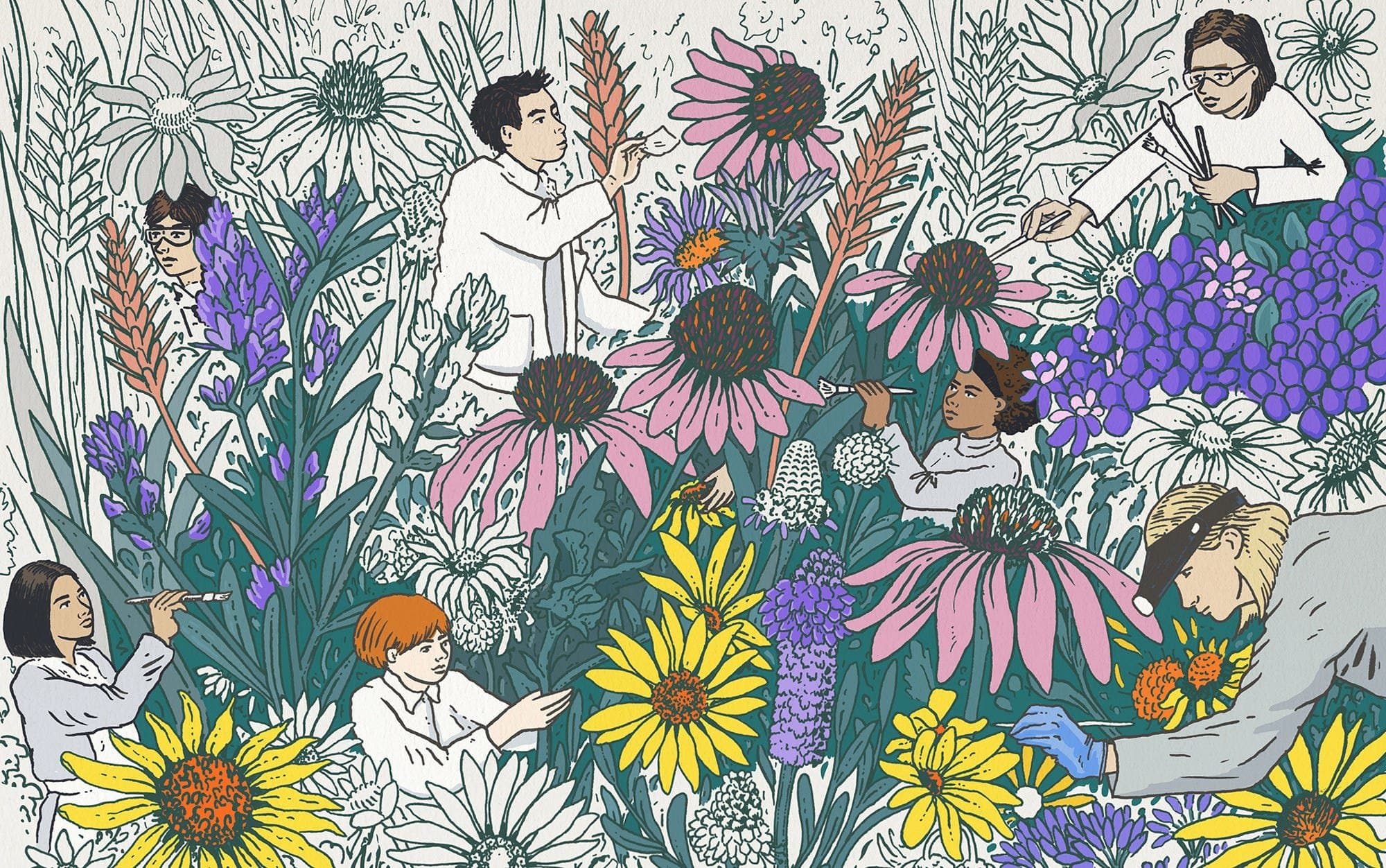 Designing an Economy Like an Ecologist