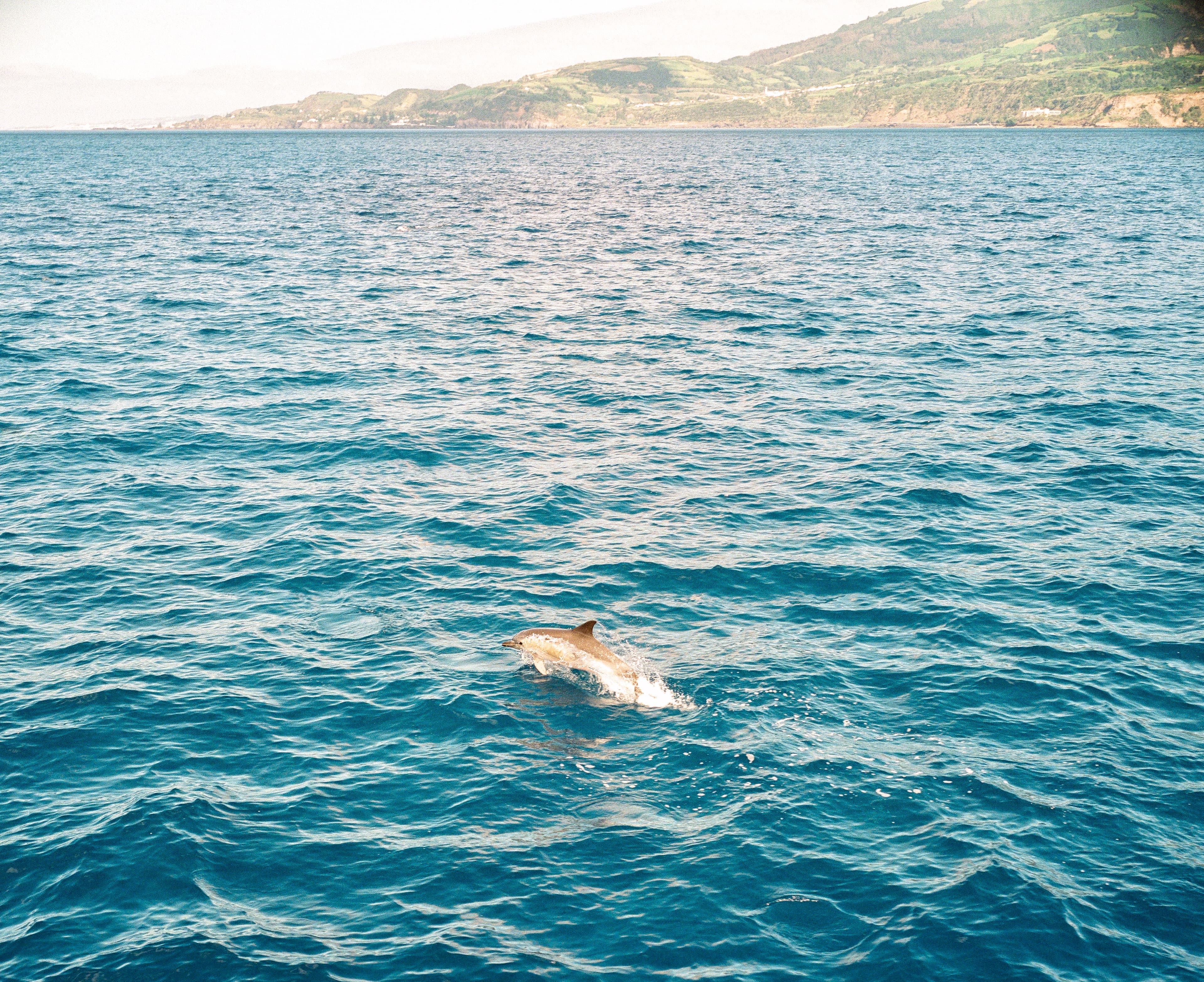 Azores — 2 of 4